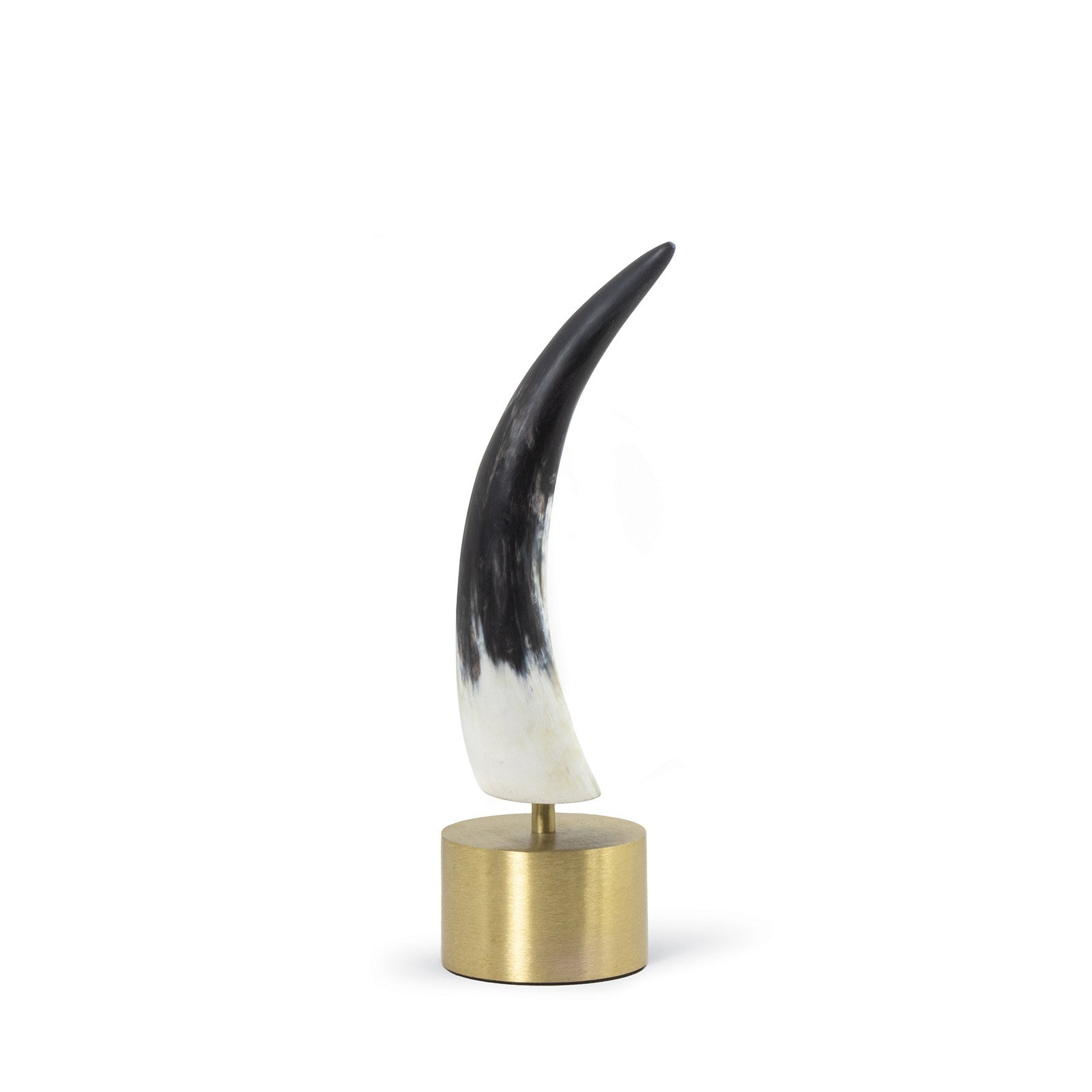 horn accessories, horn stand